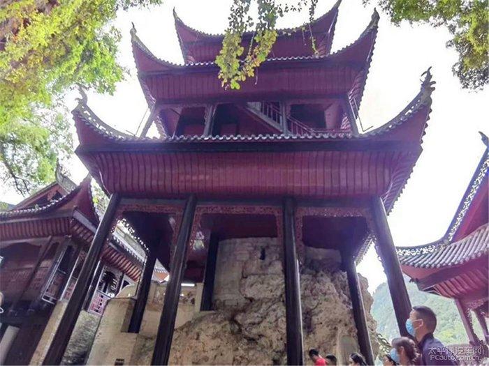 中国中医药50人峰会暨2024三亚中医药论坛将于12月28日开幕