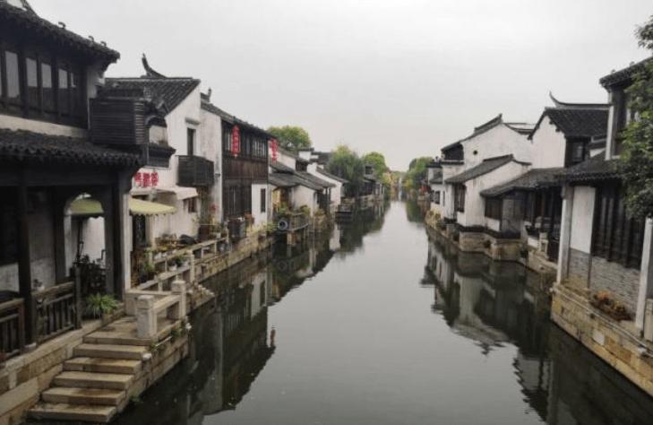 美妙森林找不同